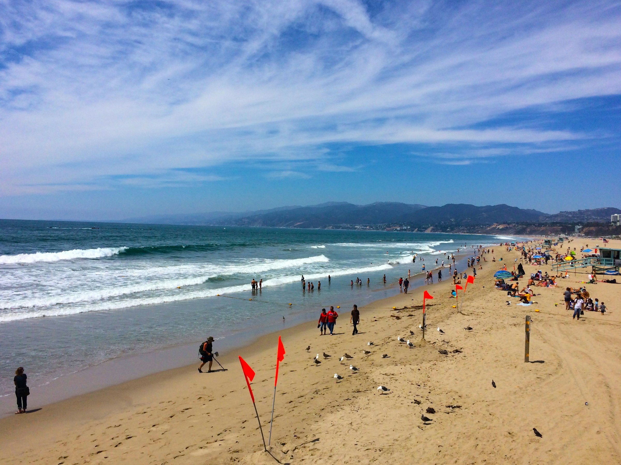 Things To Do In Venice CA